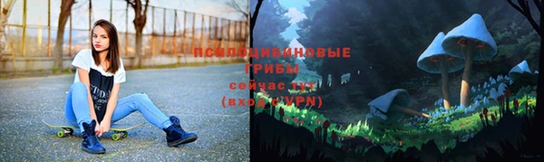 прущая мука Заводоуковск