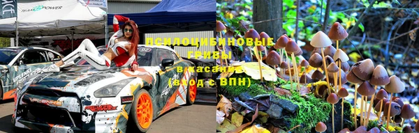крисы Зеленодольск