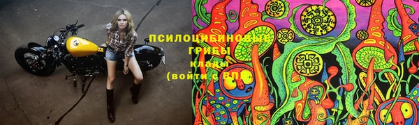 дживик Каменск-Шахтинский